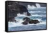 Waves crashing over lava rocks on shoreline of Espanola Island, Galapagos Islands, Ecuador.-Adam Jones-Framed Stretched Canvas