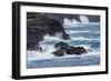 Waves crashing over lava rocks on shoreline of Espanola Island, Galapagos Islands, Ecuador.-Adam Jones-Framed Photographic Print