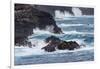 Waves crashing over lava rocks on shoreline of Espanola Island, Galapagos Islands, Ecuador.-Adam Jones-Framed Photographic Print