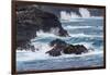 Waves crashing over lava rocks on shoreline of Espanola Island, Galapagos Islands, Ecuador.-Adam Jones-Framed Photographic Print