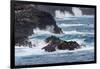 Waves crashing over lava rocks on shoreline of Espanola Island, Galapagos Islands, Ecuador.-Adam Jones-Framed Photographic Print