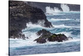 Waves crashing over lava rocks on shoreline of Espanola Island, Galapagos Islands, Ecuador.-Adam Jones-Stretched Canvas