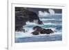 Waves crashing over lava rocks on shoreline of Espanola Island, Galapagos Islands, Ecuador.-Adam Jones-Framed Photographic Print