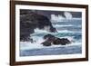 Waves crashing over lava rocks on shoreline of Espanola Island, Galapagos Islands, Ecuador.-Adam Jones-Framed Photographic Print