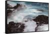 Waves crashing over lava rocks on shoreline of Espanola Island, Galapagos Islands, Ecuador.-Adam Jones-Framed Stretched Canvas