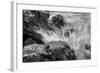 Waves Crashing Upon Rocks B&W-Anthony Paladino-Framed Giclee Print