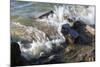 Waves Crashing Upon Rocks Fairhaven Nys-Anthony Paladino-Mounted Giclee Print