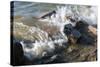 Waves Crashing Upon Rocks Fairhaven Nys-Anthony Paladino-Stretched Canvas