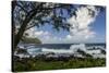 Waves Crashing Upon Rocks, Laupahoehoe Park, Hawaii, USA-Jaynes Gallery-Stretched Canvas