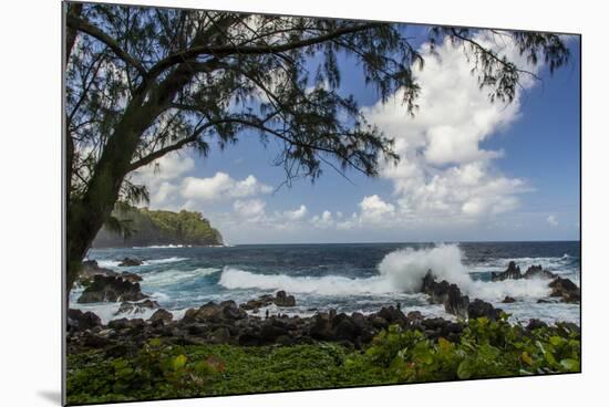 Waves Crashing Upon Rocks, Laupahoehoe Park, Hawaii, USA-Jaynes Gallery-Mounted Photographic Print