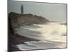 Waves from the Atlantic Ocean Crash against the Shore at Robert Moses State Park-null-Mounted Premium Photographic Print