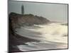 Waves from the Atlantic Ocean Crash against the Shore at Robert Moses State Park-null-Mounted Photographic Print