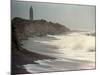 Waves from the Atlantic Ocean Crash against the Shore at Robert Moses State Park-null-Mounted Photographic Print