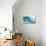 Waves in the Ocean, Tahiti, French Polynesia-null-Stretched Canvas displayed on a wall
