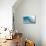 Waves in the Ocean, Tahiti, French Polynesia-null-Mounted Photographic Print displayed on a wall