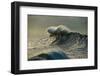Waves in the Pacific Ocean at Dusk, San Pedro, Los Angeles, California, USA-null-Framed Photographic Print