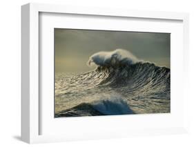 Waves in the Pacific Ocean at Dusk, San Pedro, Los Angeles, California, USA-null-Framed Photographic Print