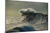 Waves in the Pacific Ocean at Dusk, San Pedro, Los Angeles, California, USA-null-Mounted Photographic Print