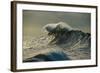 Waves in the Pacific Ocean at Dusk, San Pedro, Los Angeles, California, USA-null-Framed Photographic Print