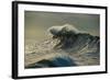 Waves in the Pacific Ocean at Dusk, San Pedro, Los Angeles, California, USA-null-Framed Photographic Print