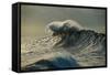 Waves in the Pacific Ocean at Dusk, San Pedro, Los Angeles, California, USA-null-Framed Stretched Canvas
