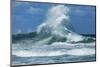 Waves in the Pacific Ocean, Coral Sea, Surfer's Paradise, Gold Coast, Queensland, Australia-Panoramic Images-Mounted Photographic Print