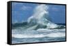 Waves in the Pacific Ocean, Coral Sea, Surfer's Paradise, Gold Coast, Queensland, Australia-Panoramic Images-Framed Stretched Canvas