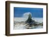 Waves in the Pacific Ocean, San Pedro, Los Angeles, California, USA-null-Framed Photographic Print