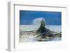 Waves in the Pacific Ocean, San Pedro, Los Angeles, California, USA-null-Framed Photographic Print