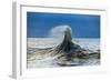 Waves in the Pacific Ocean, San Pedro, Los Angeles, California, USA-null-Framed Photographic Print