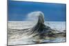 Waves in the Pacific Ocean, San Pedro, Los Angeles, California, USA-null-Mounted Photographic Print