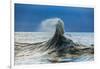 Waves in the Pacific Ocean, San Pedro, Los Angeles, California, USA-null-Framed Photographic Print