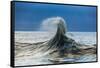 Waves in the Pacific Ocean, San Pedro, Los Angeles, California, USA-null-Framed Stretched Canvas