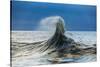 Waves in the Pacific Ocean, San Pedro, Los Angeles, California, USA-null-Stretched Canvas