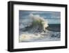 Waves in the Pacific Ocean, San Pedro, Los Angeles, California, USA-null-Framed Photographic Print