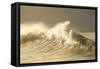 Waves in the Pacific Ocean, San Pedro, Los Angeles, California, USA-null-Framed Stretched Canvas