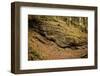 Waves of Chalk, Rock Formation, Footpath, Grainau, Upper Bavaria-Frina-Framed Photographic Print