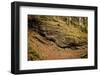 Waves of Chalk, Rock Formation, Footpath, Grainau, Upper Bavaria-Frina-Framed Photographic Print