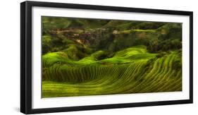 Waves of Rice - the Dragon's Backbone-Max Witjes-Framed Photographic Print