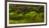 Waves of Rice - the Dragon's Backbone-Max Witjes-Framed Photographic Print