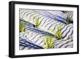 Waves of Sand II-Alan Hausenflock-Framed Photographic Print