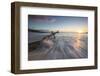 Waves on a Tree Trunk on the Beach Framed by the Caribbean Sunset, Hawksbill Bay, Antigua-Roberto Moiola-Framed Photographic Print