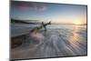 Waves on a Tree Trunk on the Beach Framed by the Caribbean Sunset, Hawksbill Bay, Antigua-Roberto Moiola-Mounted Photographic Print