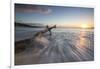 Waves on a Tree Trunk on the Beach Framed by the Caribbean Sunset, Hawksbill Bay, Antigua-Roberto Moiola-Framed Photographic Print