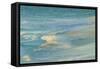 Waves on beach, Bird Island, Seychelles-Winfried Wisniewski-Framed Stretched Canvas