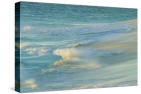 Waves on beach, Bird Island, Seychelles-Winfried Wisniewski-Stretched Canvas