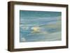 Waves on beach, Bird Island, Seychelles-Winfried Wisniewski-Framed Photographic Print