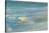 Waves on beach, Bird Island, Seychelles-Winfried Wisniewski-Stretched Canvas