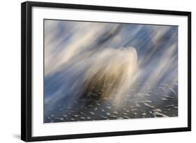 Waves on beach, blurred movement, Sanibel Island, Florida-Fritz Polking-Framed Photographic Print