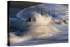 Waves on beach, blurred movement, Sanibel Island, Florida-Fritz Polking-Stretched Canvas